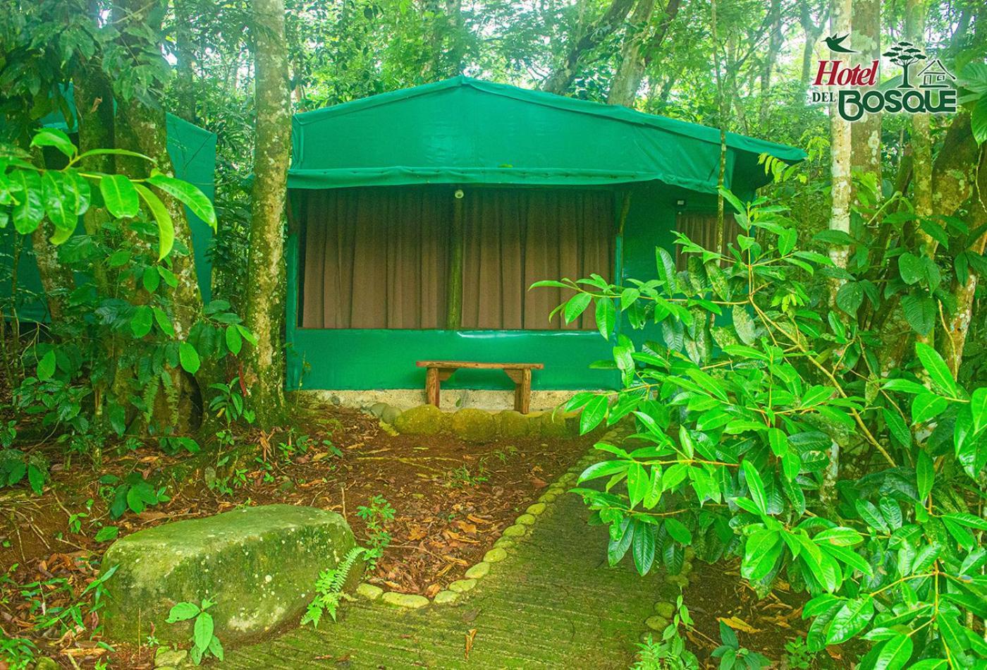 Hotel Del Bosque Rio Cuarto Exterior photo